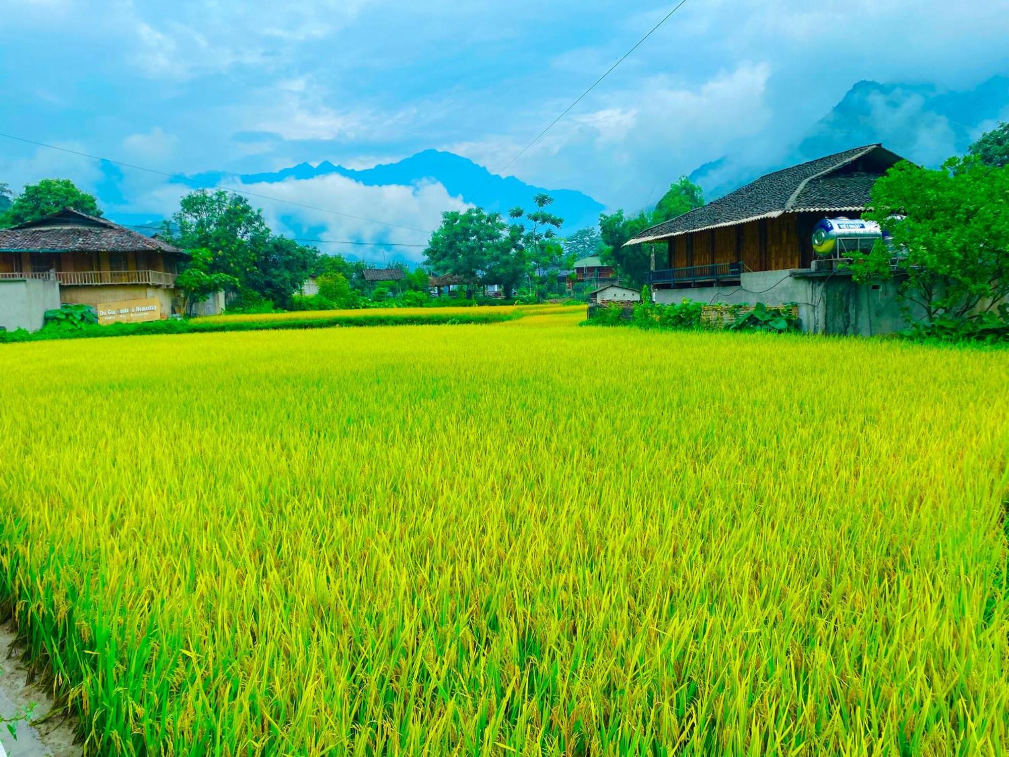 Duy Homestay Du Gia Làng Cac 外观 照片
